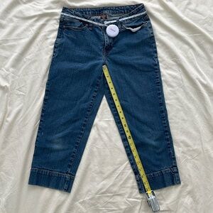 The Limited Women Denim Flood Pants (Size 6)